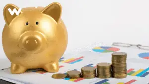 Dont Underestimate the Importance of Finance in Your Organizations Success